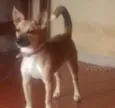 Quiara