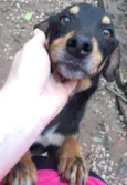TUTA