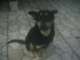 Lua