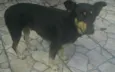 Lua