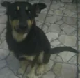 Lua
