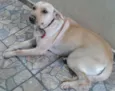 jully