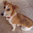 Nina