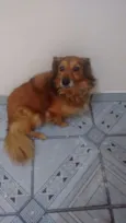 Druw