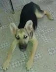 kiara