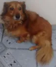 Druw