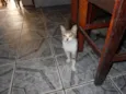 naninha
