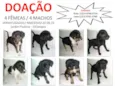 Sem Nome