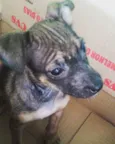 Fiona