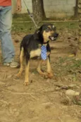 REX, menino mais li