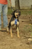 REX, menino mais li