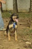 REX, menino mais li