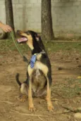 REX, menino mais li