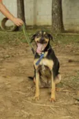REX, menino mais li