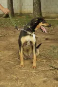 REX, menino mais li