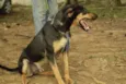 REX, menino mais li