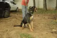 REX, menino mais li