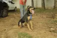 REX, menino mais li