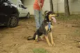 REX, menino mais li