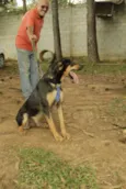 REX, menino mais li