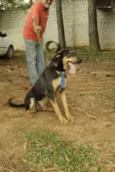 REX, menino mais li