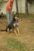 REX, menino mais li