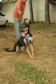 REX, menino mais li