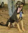 REX, menino mais li