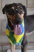 REX, menino mais li
