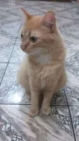 Não sei 