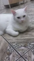 Não sei 
