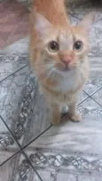 Não sei 