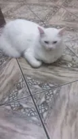 Não sei 