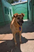 JOHNY - Um cara fofo!