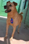 JOHNY - Um cara fofo!