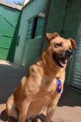 JOHNY - Um cara fofo!