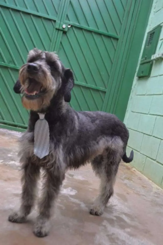 SULTÃO, um encanto!