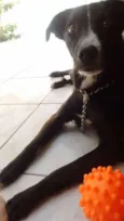 Sophie