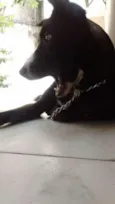 Sophie