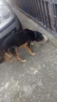 Não sei
