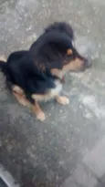 Não sei