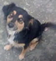 Não sei
