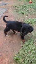 Nome não definido