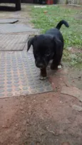 Nome não definido