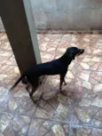 luck