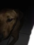 Chamei ele de nego