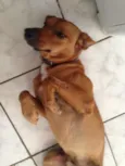 Chamei ele de nego