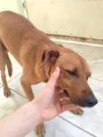 Chamei ele de nego