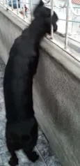 Lili