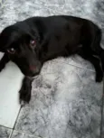 Lili